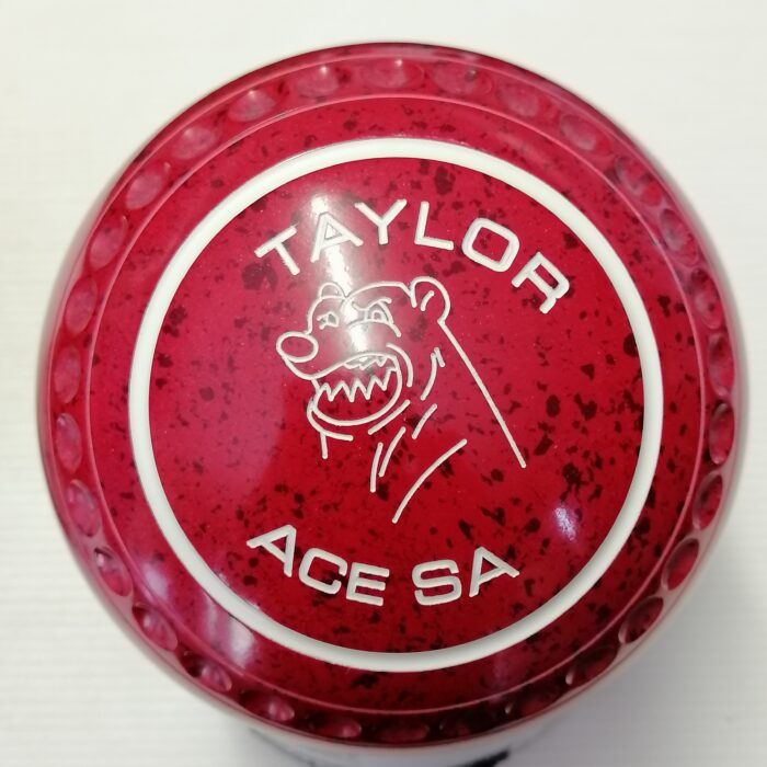 Taylor Ace SA 2h Pro Grip